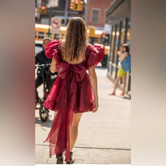 NWT Aje Gretta Tie Organza Burgundy Mini Dress Size Medium Open Back V neck - Picture 5 of 10